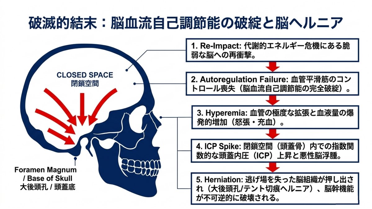 セカンドインパクト症候群で脳血流の自己調節能が破綻し脳ヘルニアに至る5段階を、頭蓋骨の断面図とともに示した図。1 Re-Impact＝代謝的エネルギー危機にある脆弱な脳への再衝撃、2 Autoregulation Failure＝血管平滑筋のコントロール喪失、3 Hyperemia＝血管の極度な拡張と血液量の爆発的増加、4 ICP Spike＝閉鎖空間である頭蓋骨内での頭蓋内圧の急上昇と脳浮腫、5 Herniation＝大後頭孔やテント切痕への脳ヘルニアと脳幹機能の不可逆的な破壊。