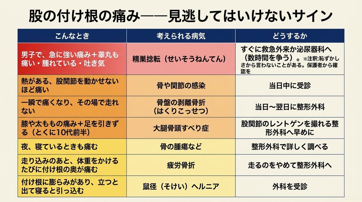 股の付け根の痛みで見逃してはいけないサインの一覧表。急ぐ順に、男子で急な強い痛みと睾丸の痛み・腫れ・吐き気は精巣捻転を疑いすぐに救急外来か泌尿器科へ。熱があり股関節を動かせないほど痛いときは骨や関節の感染で当日中に受診。一瞬で痛くなり走れないときは骨盤の剥離骨折で当日〜翌日に整形外科。膝や太ももの痛みと足を引きずる10代前半は大腿骨頭すべり症。夜間の痛みは骨の腫瘍など、走り込み後の荷重時痛は疲労骨折、立つと出る膨らみは鼠径ヘルニアで外科を受診。