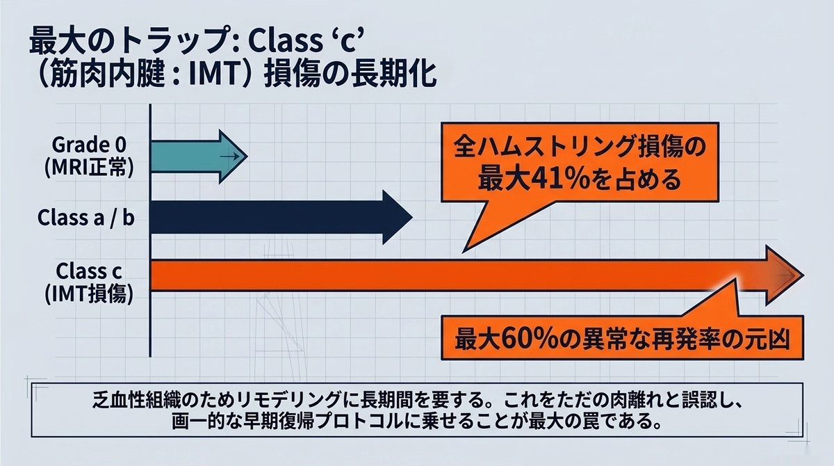 筋肉内腱（IMT）損傷はハムストリング損傷全体の最大41%を占め、復帰までの期間が最も長く、従来の画一的な早期復帰プロトコルに乗せると再発率が最大60%に達する