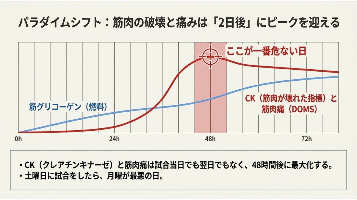 試合後の回復を示すグラフ。CK（筋肉が壊れた指標）と筋肉痛（DOMS）は試合当日でも翌日でもなく48時間後に最大化し、そこが一番危ない日になる。一方で筋グリコーゲン（燃料）は時間とともに回復していく。土曜日に試合をしたら月曜が最悪の日という関係を示している