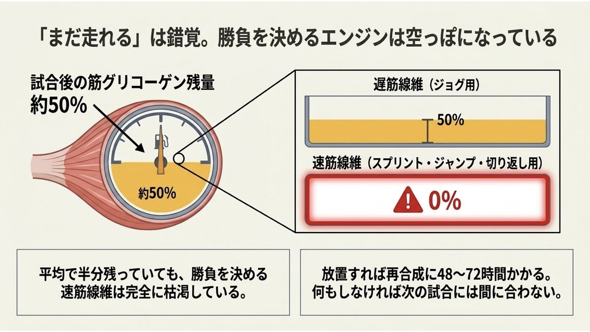 試合後の筋グリコーゲン残量を示す図。全体の残量は約50%だが、内訳を見ると遅筋線維（ジョグ用）には50%残っている一方、スプリント・ジャンプ・切り返しを担当する速筋線維は枯渇している。平均で半分残っていても勝負を決める線維は空で、放置すれば再合成に48〜72時間かかることを示す