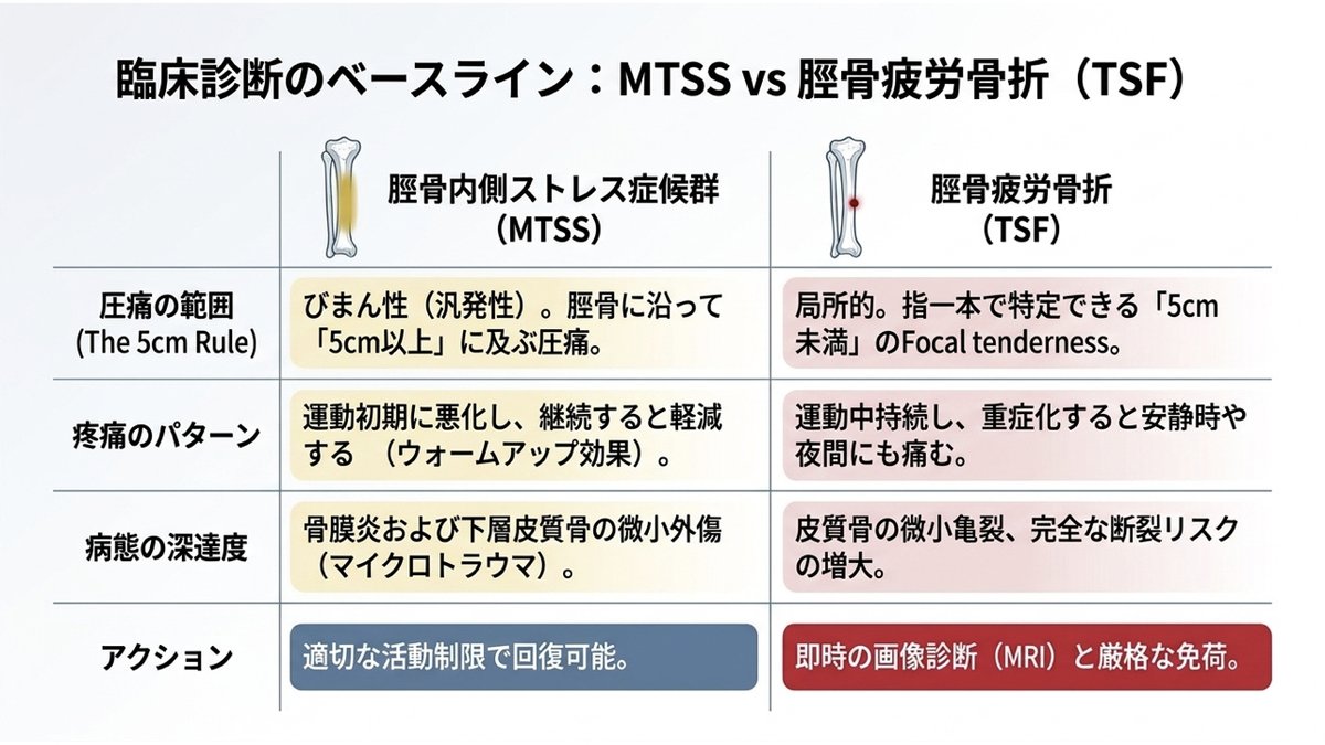 シンスプリント（脛骨内側ストレス症候群）と脛骨疲労骨折の鑑別表。圧痛の範囲はシンスプリントが脛骨に沿って5cm以上のびまん性、疲労骨折は指一本で特定できる5cm未満の限局性。疼痛パターンはシンスプリントが運動初期に悪化し継続すると軽減するのに対し、疲労骨折は運動中持続し重症化すると安静時や夜間にも痛む。対処はシンスプリントが活動制限で回復可能、疲労骨折は画像診断と免荷が必要